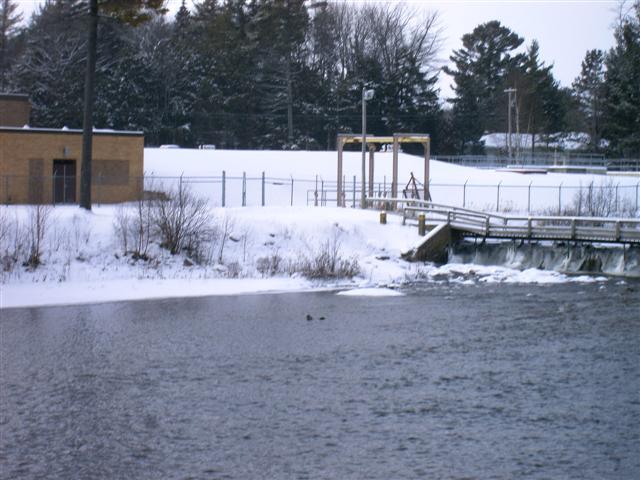IMAG0052.JPG